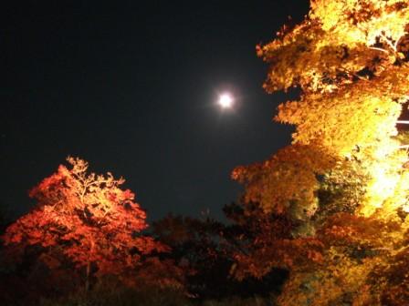 松花堂庭園夜間ライトアップと満月